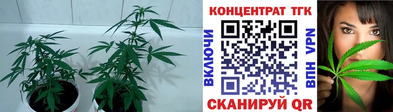 где купить наркотик Анжеро-Судженск kraken зеркало ТГК вейп